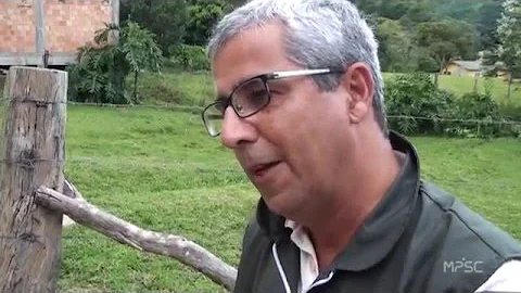 Qual a importância de preservar as manifestações culturais brasileiras e de respeitar a diversidade cultural?