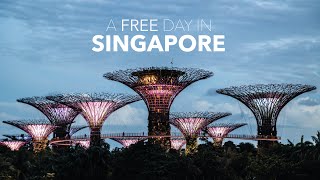 Free Day in Asia's Most Expensive City || Singapore Travel Vlog