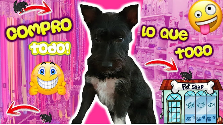 COMPRO TODO LO QUE MI PERRO TOCA en la Tienda / Retos Lana