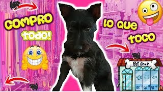 Compro Todo Lo Que Mi Perro Toca En La Tienda Retos Lana