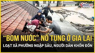 Gia Lai tan hoang giữa “bom nước” đục quánh: Loạt xã phường ngập sâu, người dân khốn đốn, sơ tán gấp
