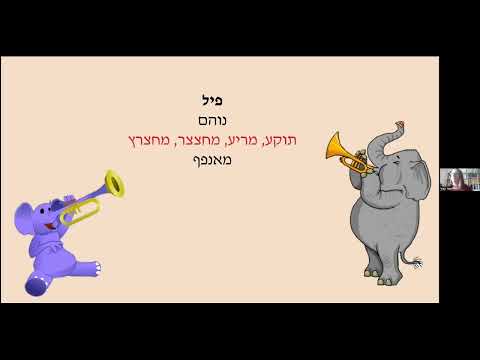 וִידֵאוֹ: מה פירוש הביטוי 