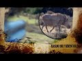 Warthog with a big bore airgun  south africa series episode 1