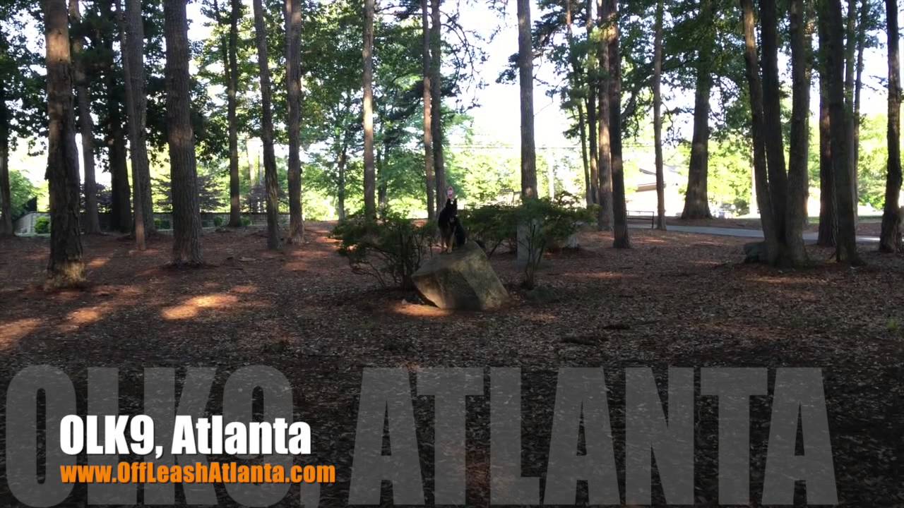 Send Away Place 3 Year Old German Shepherd Dog Training Atlanta YouTube
