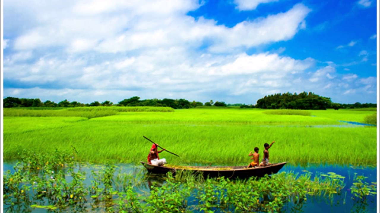 My country beautiful. Бангладеш природа. Бангладеш природа фото. Village of Bangladesh. Бангладеш природа и природопользование.