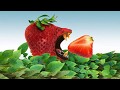 Hungry and Delicious Strawberry (Photoshop Manipulation Tutorial)