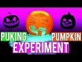 Puking pumpkin experiment  styloween  pintry
