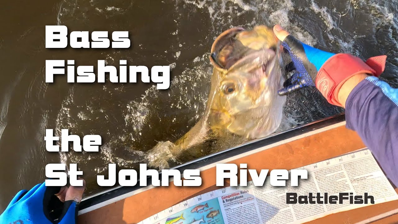 Bass Fishing Crazyness (St Johns River, Florida)