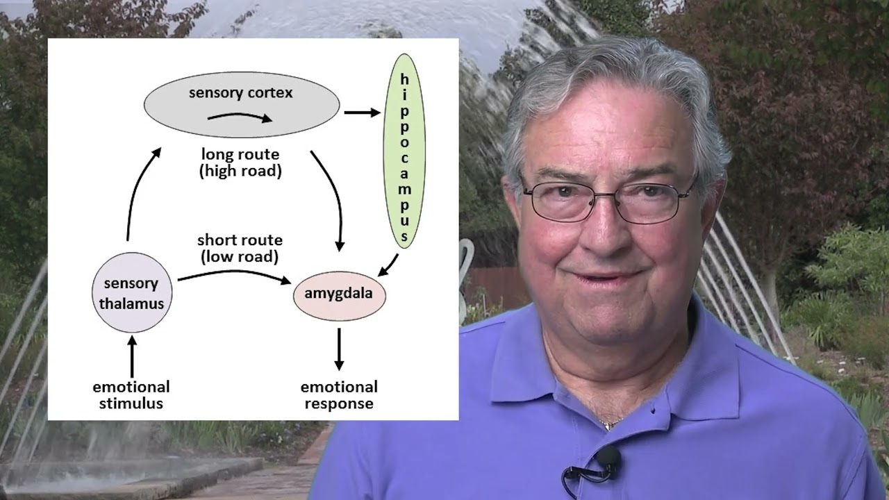 Traumatic Memory and the Trading Mind