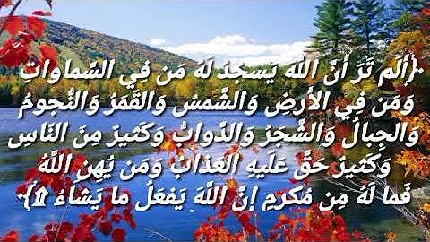 ما تيسر من سورة الحج ( ومن الناس من يعبد الله على حرف. ..) بصوت القارئ محمد  نور محمود الشاعر