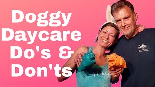 Doggy Daycare Dos and Don’ts