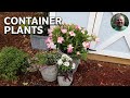 🌺Planting Lots of Containers