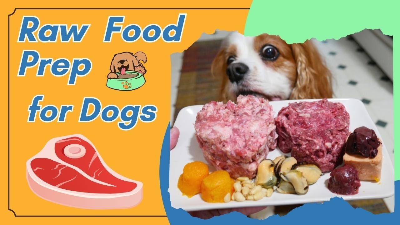 Raw Food Diet for Dogs Meal Prep 🐶 Species Appropriate Diet for Dogs 🐐