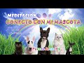 💕🐾 CONECTO CON MI MASCOTA 😺 🐶 🌈Puente Arco Iris del Cielo 🌈💗 #Meditación 🐬 🐤 🐠🐕 🐩🐈🐇 🐾 💕
