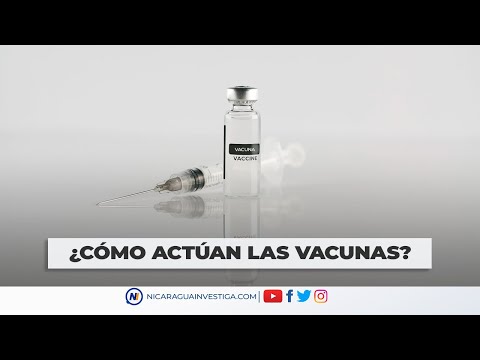 ⚠🔵¿Cómo actúan las vacunas? - VIDEO EXPLICATIVO