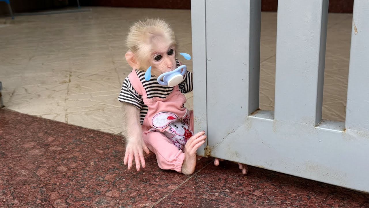 Lucky cried while waiting for his mother to come home from the market
