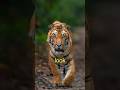 One Tip, One Shot! #aarzookhurana #photography #learnphotography #photographytips