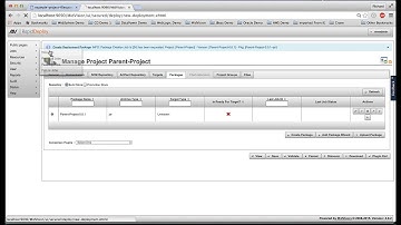 RapidDeploy v4.0 - Part 3: Linked Deployments and Deployment Plans