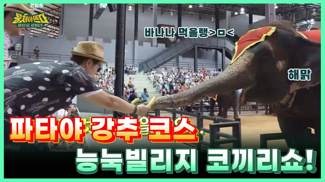 [뭉쳐야뜬다] 파타야 강추 코스! 👍능눅빌리지 코끼리쇼!🐘