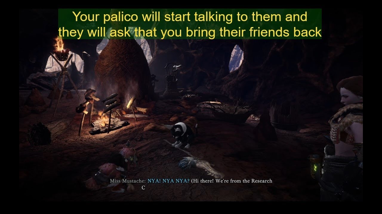 MHW: Wildspire waste grimalkines, the defenders guide