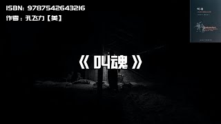 《叫魂》1768年中国妖术大恐慌