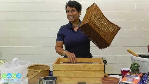 Gardening Tips | Parks & Recreation Virtual Programming