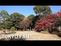 【4K】Walking in Tokyo Rikugien Garden (Dec. 2021) | The autumn leaves are beautiful in Rikugien (六義園）