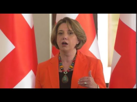 ვერ შევძლებთ გახსნილ კარში შესვლას, ვიდრე ქვეყანას მართავს ოლიგარქიული რეჟიმი - სამადაშვილი