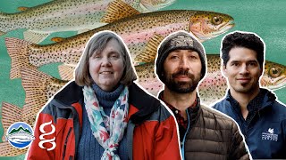 Rainbow Trout Conservation | Researchers Revealed |  @gofishbc @Genome BC