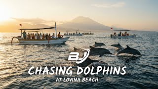 Chasing Dolphins at Lovina Beach 🐬 | Magical Sunrise Tour with Bali Java Tour \u0026 Travel