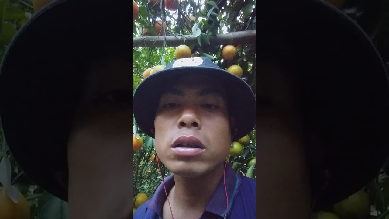 UWSA(0631233272)မႃးထွမ်တူၺ်းၶႃဝဢိသင်ဢၼ်ဝႃႈၼၼ်ႉ