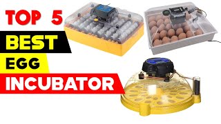 Top 5 Best Egg Incubators Reviews for 2022