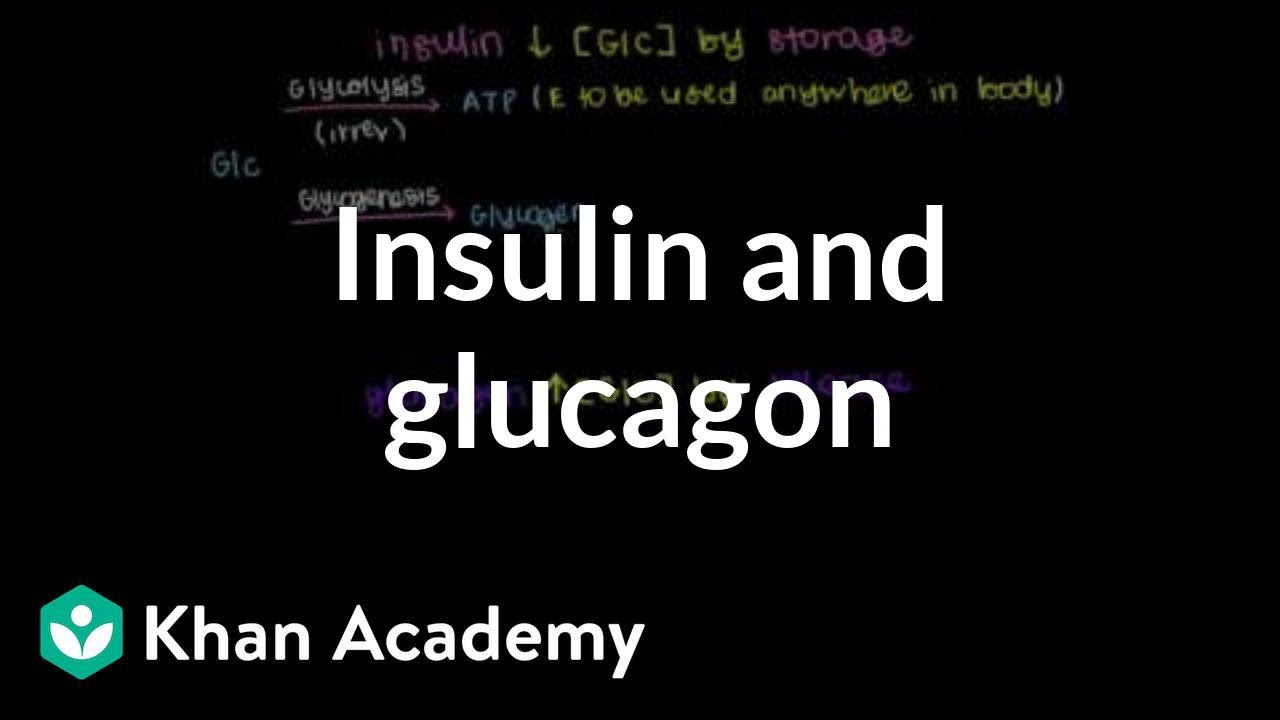 Insulin Expiration Chart 2019