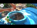 BIỆN PHÁP XỬ LÝ RỆP SÁP GÂY HẠI CÀ PHÊ !!!| NẤM 3 MÀU| Vlog Nông Nghiệp TKS