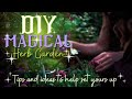  diy magical herb garden  witchcraft 101   magical qualities 