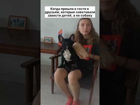 Французский бульдог -  любовь навсегда