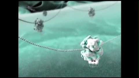 David Bolinsky: Visualizing the wonder of a living cell