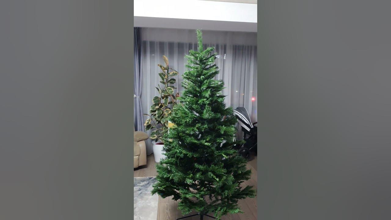 Christmas tree Lidl LIVARNO 210cm - YouTube