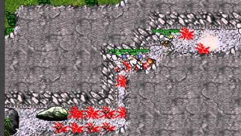 tibia lucera noob pk