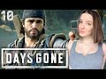 DAYS GONE на ПК | Полное Прохождение ЖИЗНЬ ПОСЛЕ на PC на Русском | Стрим #10