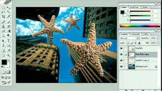 The 60 Adobe Photoshop CS Lessons Video Training DVD screenshot 5