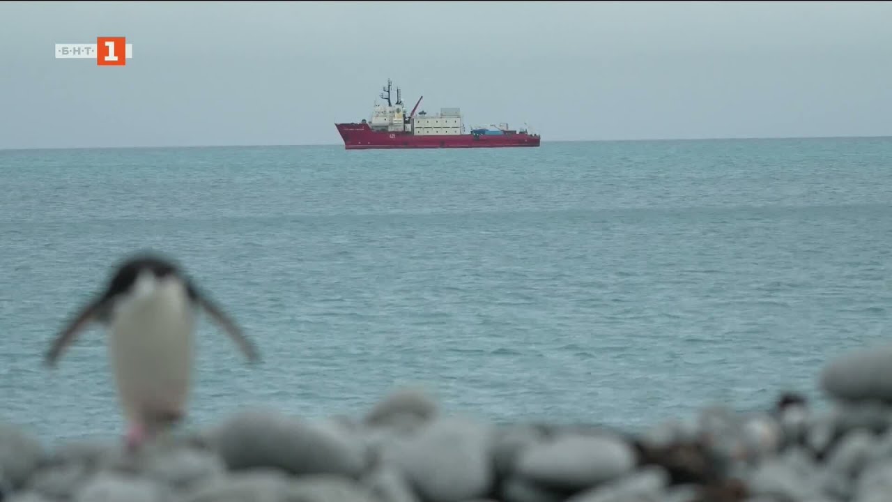 Детски новини 06.03.2026 г.