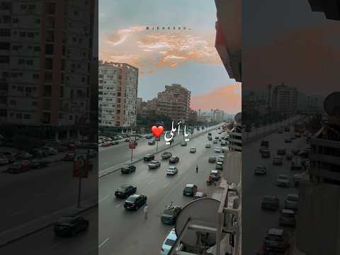 قلبي متعلق بيكي وانا سهران بناديكي يا املي اكسبلور عمرو دياب اغانى عمرو دياب شورتس حالات واتس