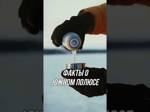 Факты про Антарктиду #shorts
