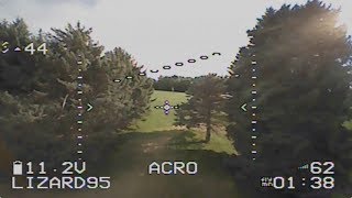 Lizard 95 Acro FPV 2
