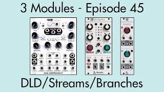 3 Modules #45: Dual Looping Delay, Streams, Branches