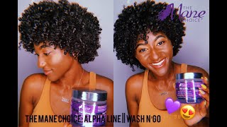 The Mane Choice Alpha Line Wash N Go