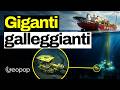 Grandi impianti galleggianti che estraggono gas e petrolio 3000m sott'acqua: come funzionano le FPSO