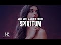 Vini vici x maddix x shibui  spiritum