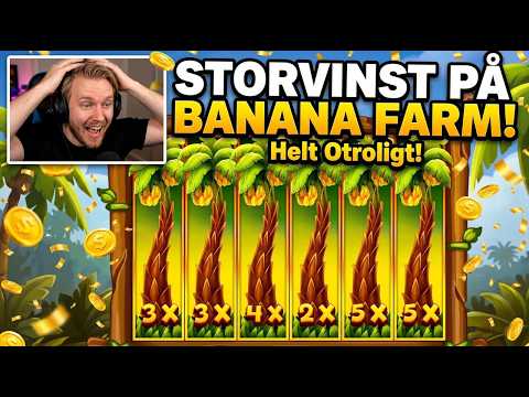Så fungerar progressiva jackpots på Rabbitreels
